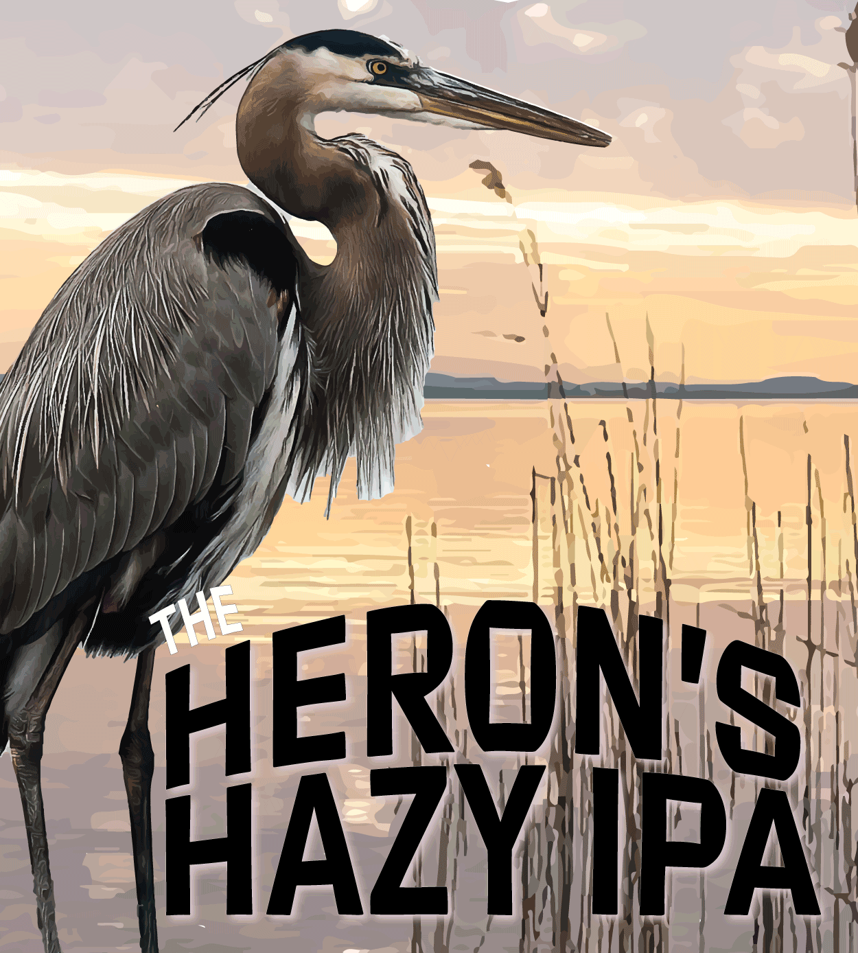Heron's Hazy IPA at 1912 Brewery.